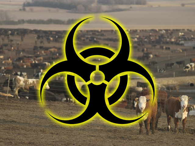 Agrodefense is a broad and complex mission space, but experts say the country faces a shortage of livestock vaccines, lack of coordination among federal agencies, lack of intelligence capability, lack of funding and overall lack of awareness. (DTN photo illustration by Nick Scalise)